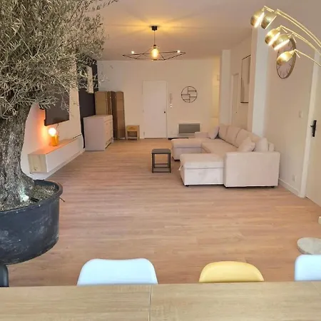 Le Magnifique, 15 Personnes, Garage, 3 Minutes A Pied Du Sanctuaire Et Gare Lourdes