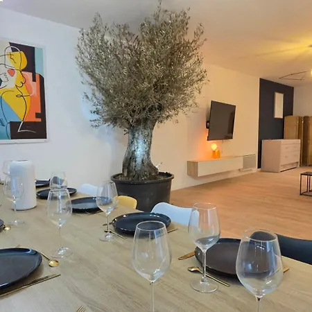 Appartement Le Magnifique, 15 Personnes, Garage, 3 Minutes A Pied Du Sanctuaire Et Gare Lourdes